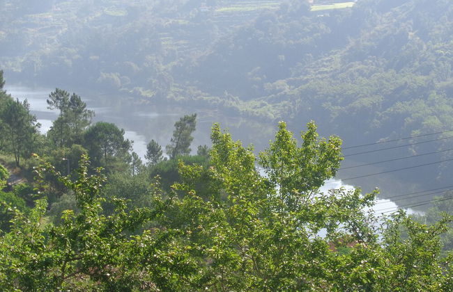 Bernardes House - Foto 17