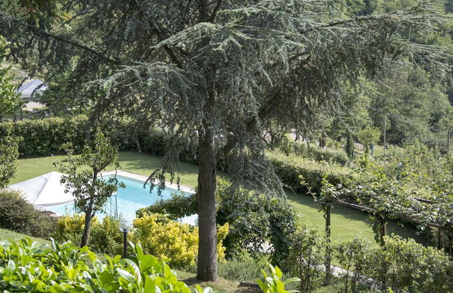 Villa Magnolia - Foto 24