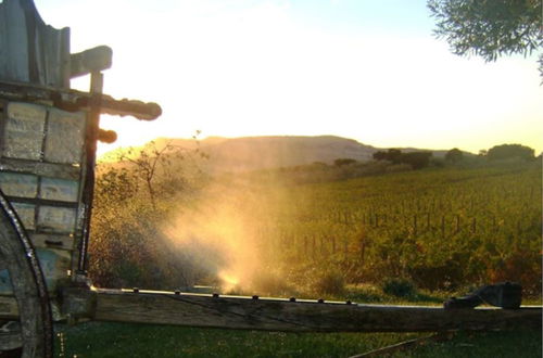 Photo 13 - Bodega Doña Felisa