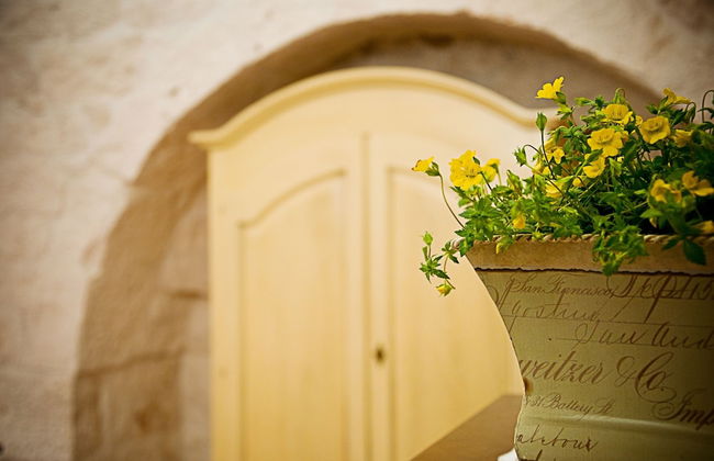 Trulli il Castagno - Foto 48