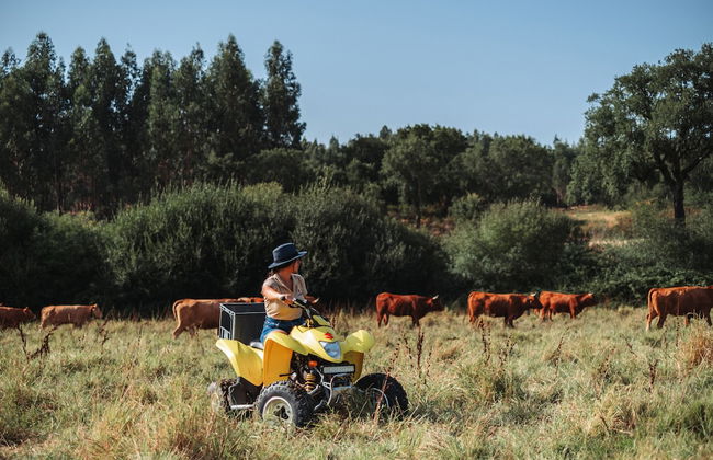 Herdade dos Cordeiros - Photo 40