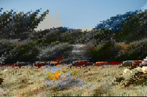 Foto 40 - Herdade dos Cordeiros