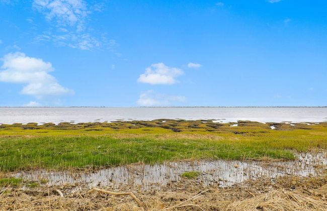 Joppa Flat - Photo 32