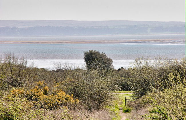 Blue Rose Cottage - Foto 29