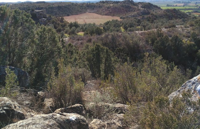 Casa Rural Los Pinos - Foto 17