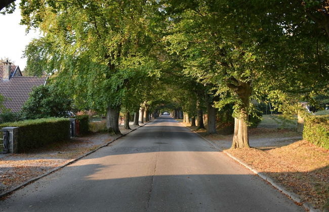 A Villa Between the Town Centre and the Forest - Foto 29