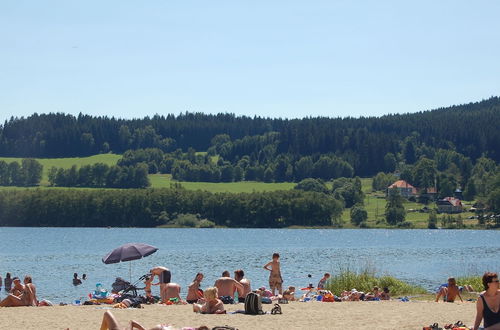 Photo 27 - Beautiful Villa at the Lipno Lake With ski Pistes