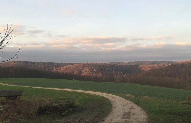 Ferienhaus in Amelgatzen mit Terrasse - Foto 40