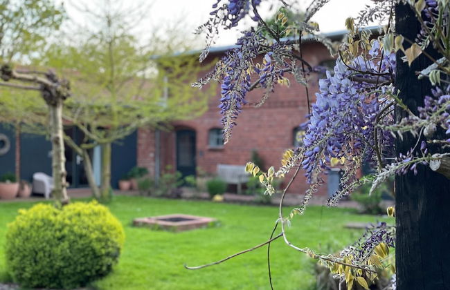 Grosszuegige Ferienwohnung mit Garten - Photo 32