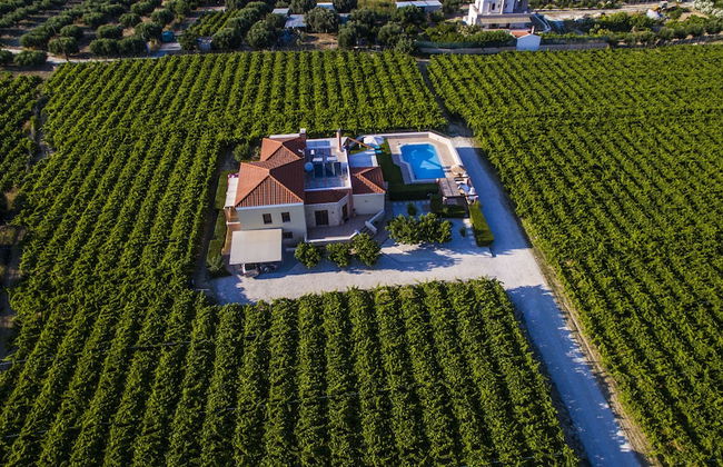 Cretan Vineyard Hill Villa Private Pool, Panoramic View, Beautiful Vineyard - Foto 36
