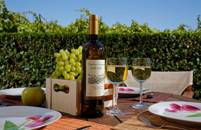 Cretan Vineyard Hill Villa Private Pool, Panoramic View, Beautiful Vineyard - Foto 16