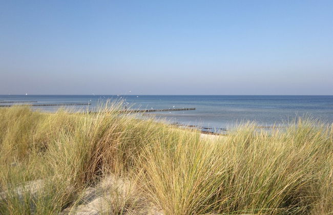 Coastal Comfort on Insel Poel - Foto 19