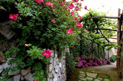 Photo 64 - Ottavia Ancient Italian Villa Overlooking Capri