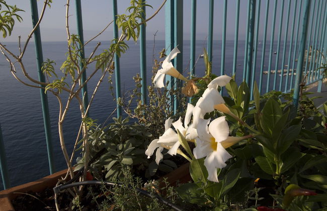 CG1 Giovanna Seaview Apartment Near Atrani Amalfi - Foto 30