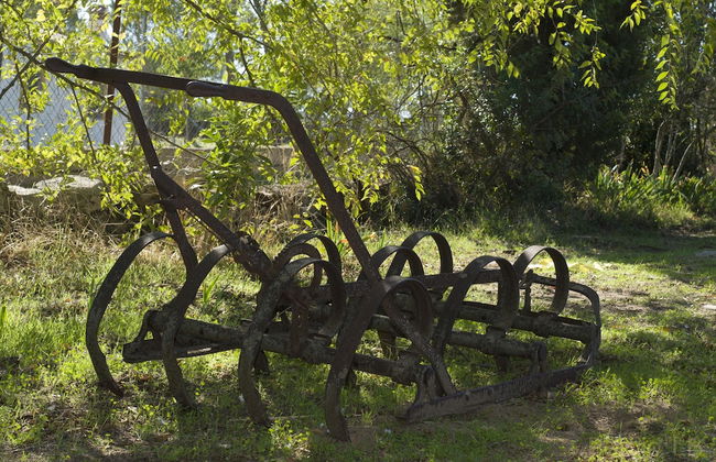 La Casa Rural Cortijo del Zoco Bajo - Foto 28