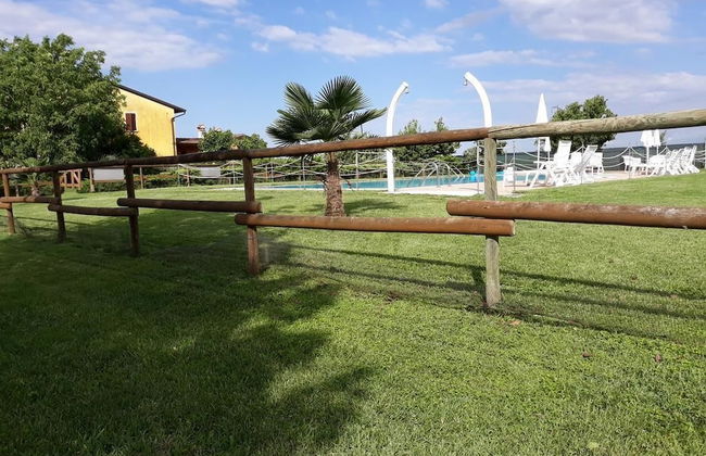 Agriturismo Trebis - Foto 34