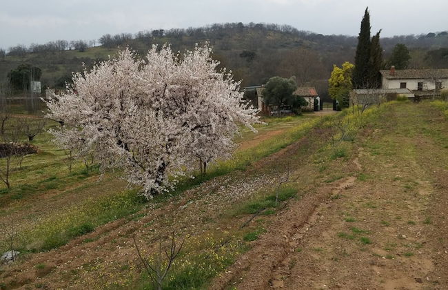 Casa Rural la Vallejera - Foto 22