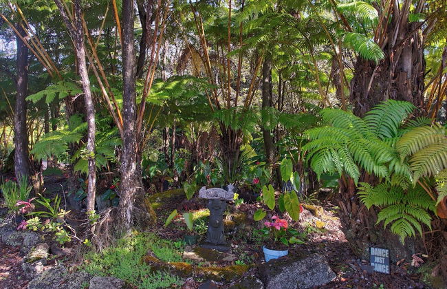 Aloha Ohia Hale 1 Bedroom Home by RedAwning - Foto 17