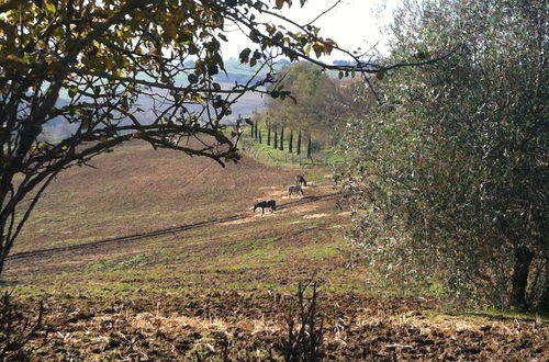 Photo 32 - Agriturismi Farina