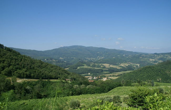 Holiday Home in Dicomano - Foto 38
