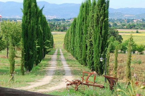 Photo 49 - Fattoria Le Giare