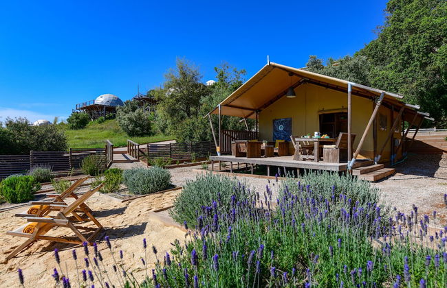 wecamp Reserva Alecrim - Foto 45