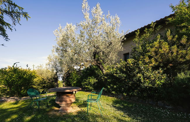 Agriturismo Poggio Degli Olivi - Guest House - Foto 48