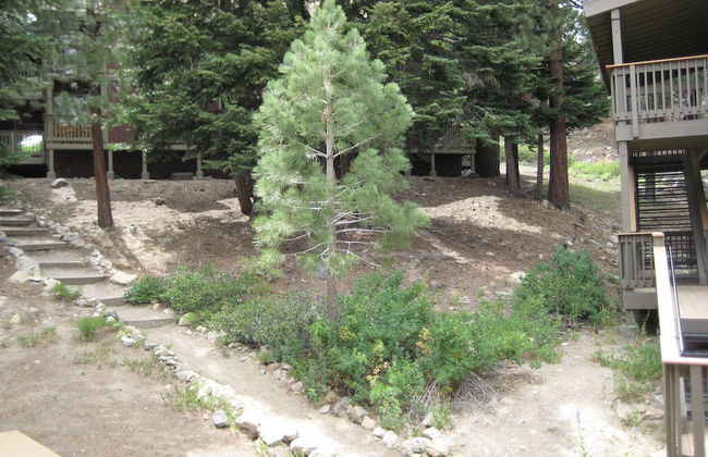 Hidden Valley by Mammoth Reservation Bureau - Foto 39