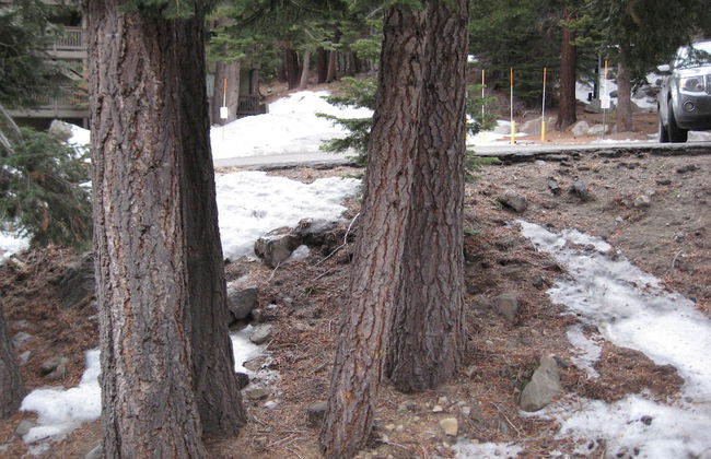 Hidden Valley by Mammoth Reservation Bureau - Foto 68