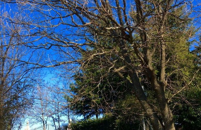Cottage in Montefiore Near Forest and Beach - Foto 24