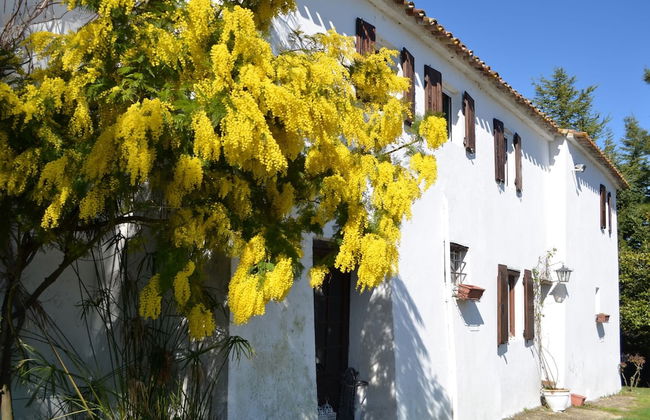 Cottage in Montefiore Near Forest and Beach - Foto 30