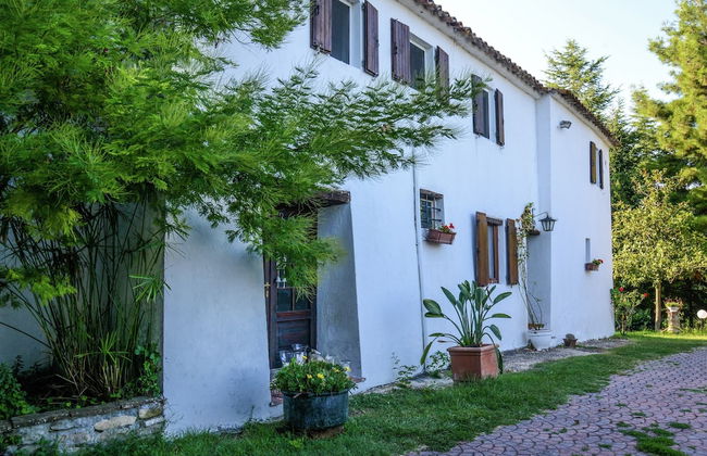 Cottage in Montefiore Near Forest and Beach - Foto 33