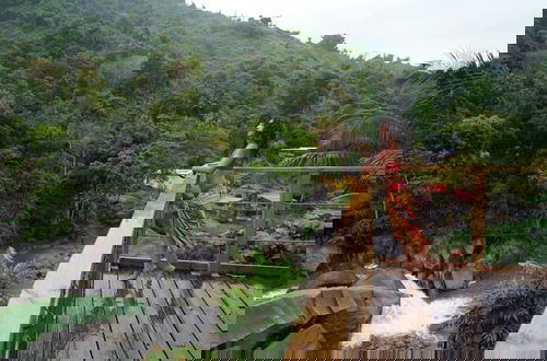 Photo 32 - El Yunque Rainforest