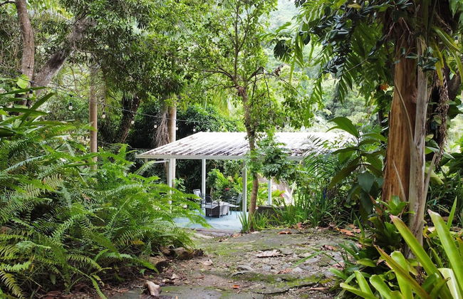 El Yunque Rainforest - Foto 33