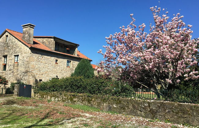 parada de francos - Foto 15