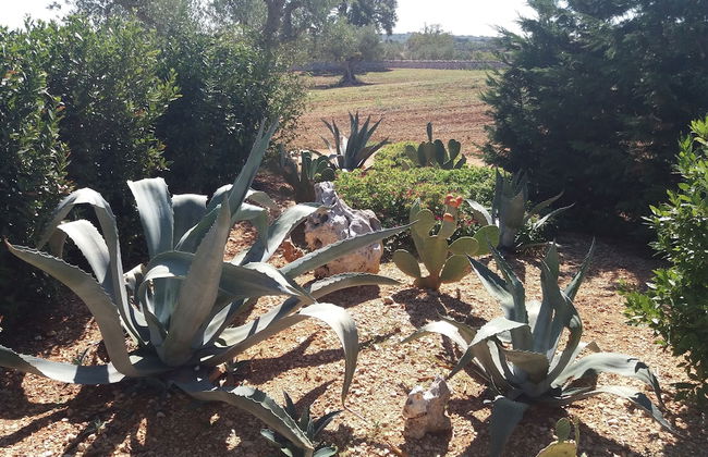 Trulli Colarossa - Foto 69