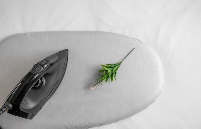 SERAPHIC 101 - Photo 13