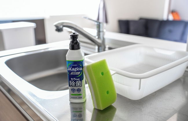 SERAPHIC 101 - Photo 21