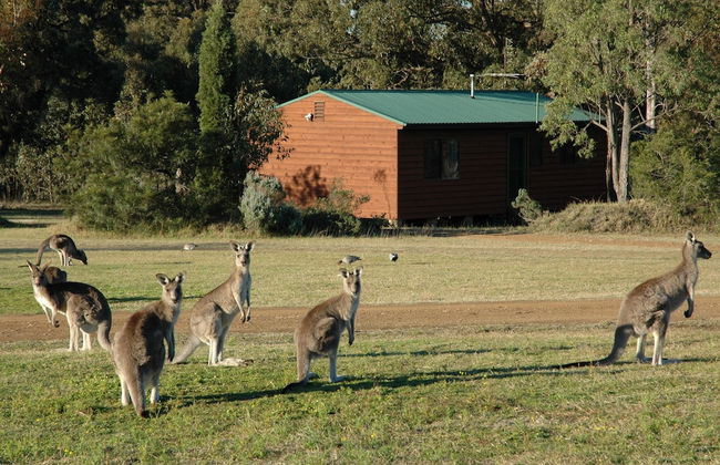 Hunter Hideaway Cottages - Foto 38