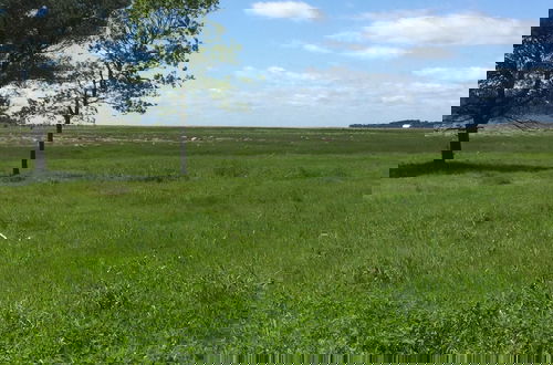 Foto 16 - Pilegaarden