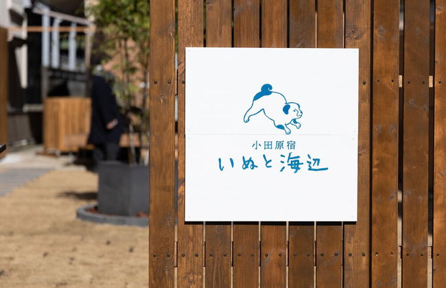 Inu to Umibe - Photo 21