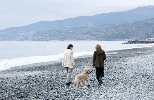 Inu to Umibe - Photo 1