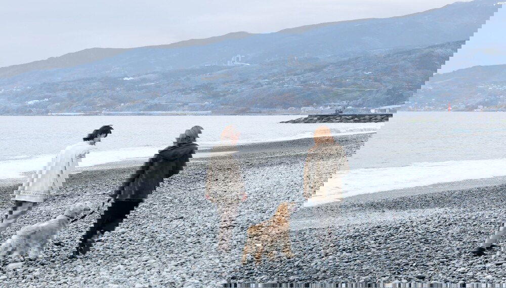 Image principale