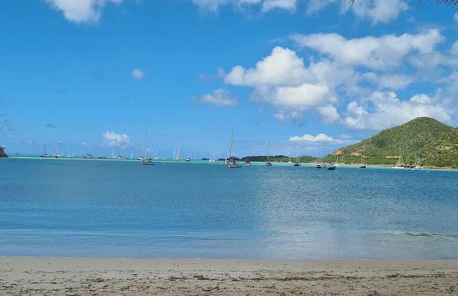 Wild Lotus Villa - Waterfront on Jolly Harbour - Foto 30