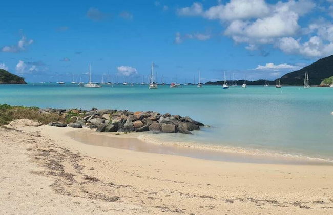 Wild Lotus Villa - Waterfront on Jolly Harbour - Foto 29