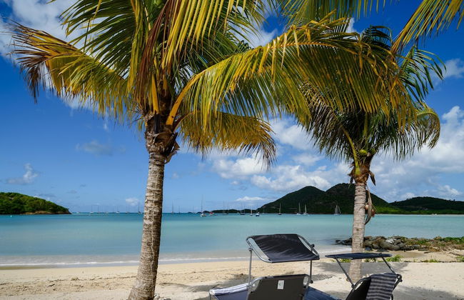 Wild Lotus Villa - Waterfront on Jolly Harbour - Foto 1