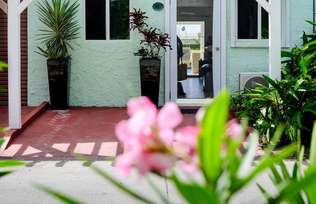 Wild Lotus Villa - Waterfront on Jolly Harbour - Foto 27