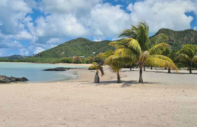 Wild Lotus Villa - Waterfront on Jolly Harbour - Foto 31