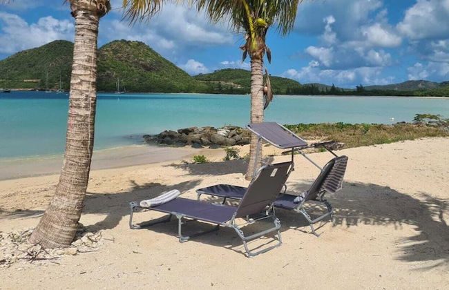 Wild Lotus Villa - Waterfront on Jolly Harbour - Foto 32