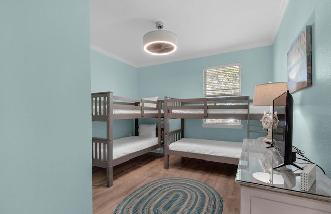 Shell Yeah! - Foto 8